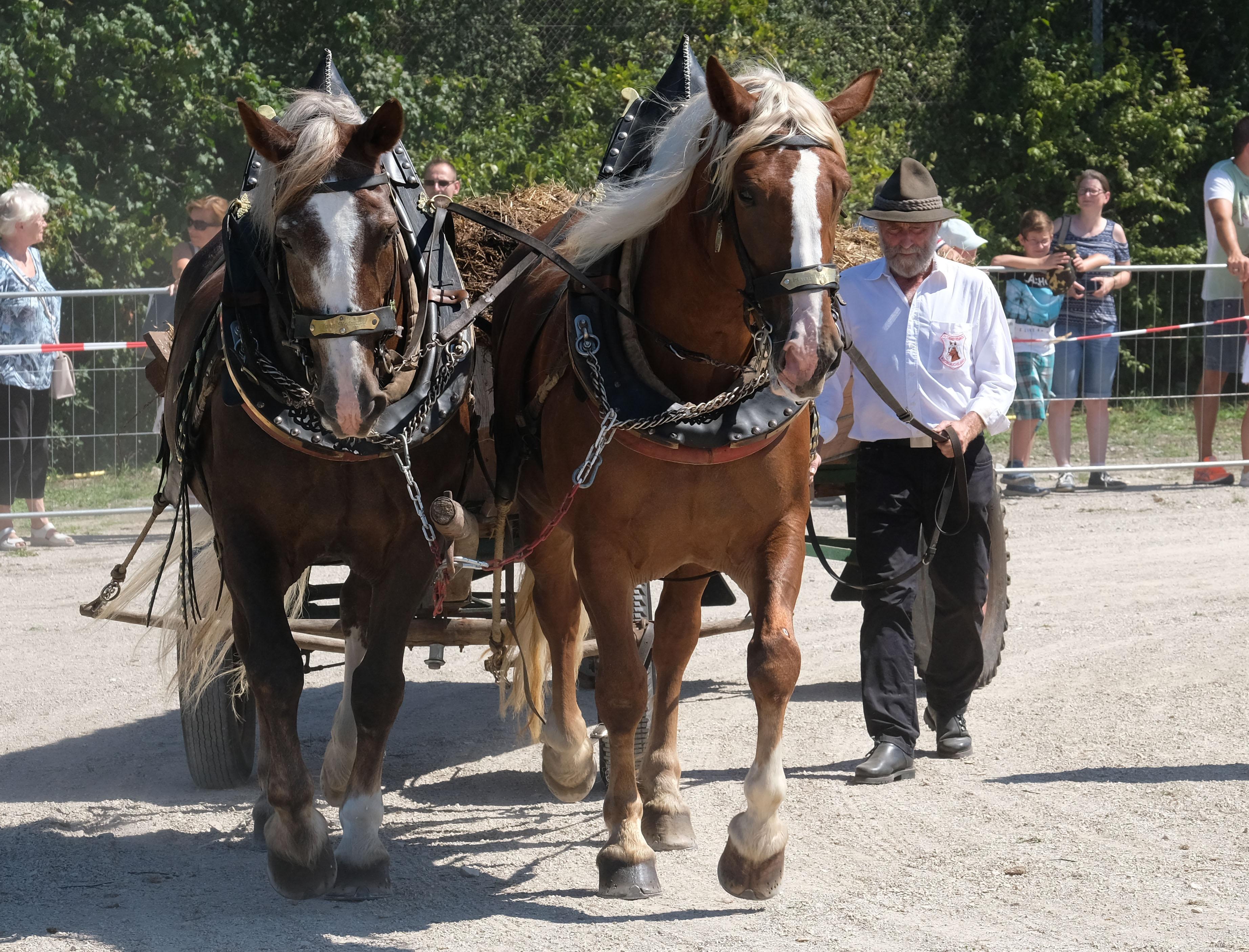 Das Oberthema in diesem Jahr: Holzarbeit.
