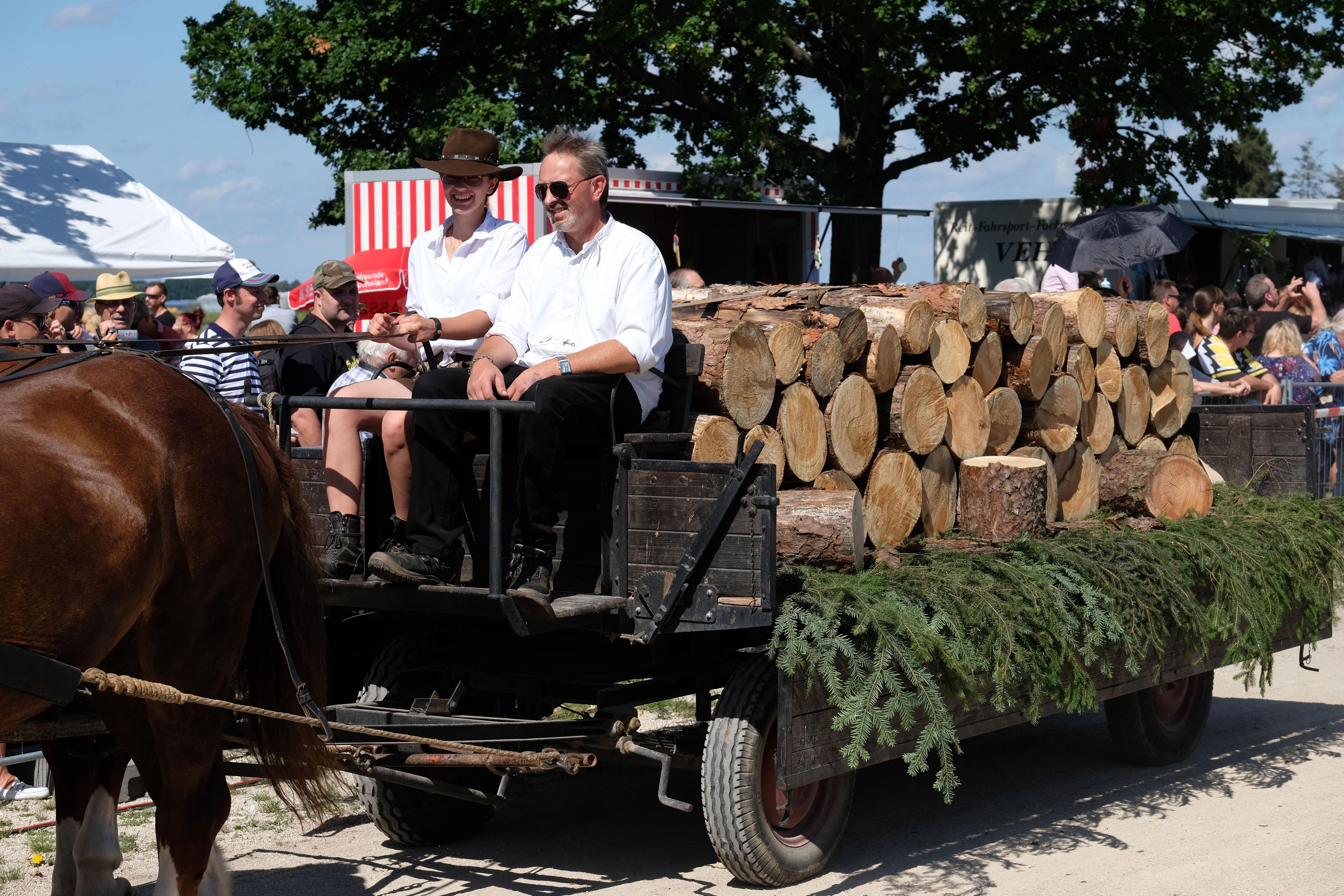 Auf der Kutsche kann man einige Stämme transportieren. Und nicht nur Feuerholz findet dort Platz...