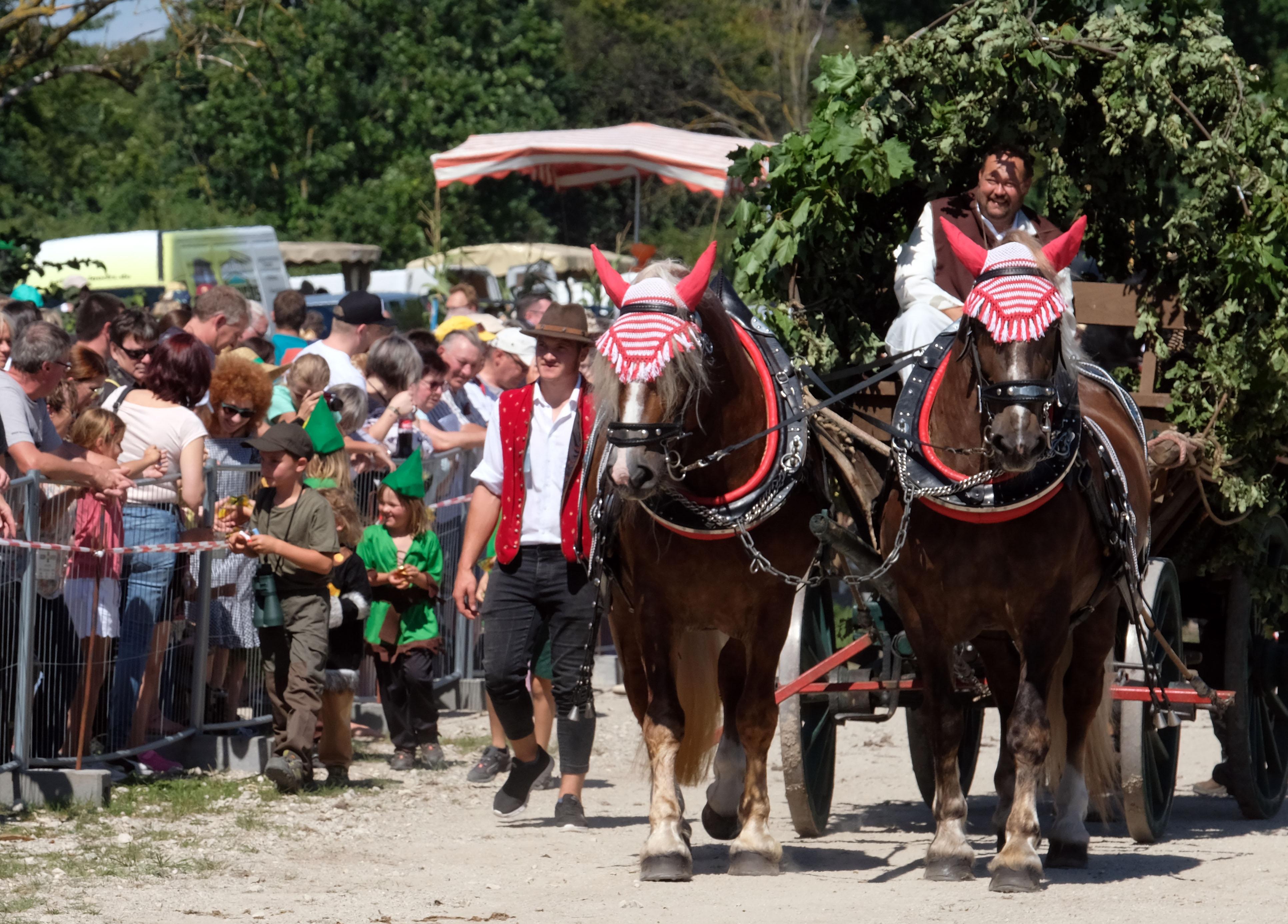 Die Zugpferde hatten dieses Jahr alle Hufe voll zu tun.