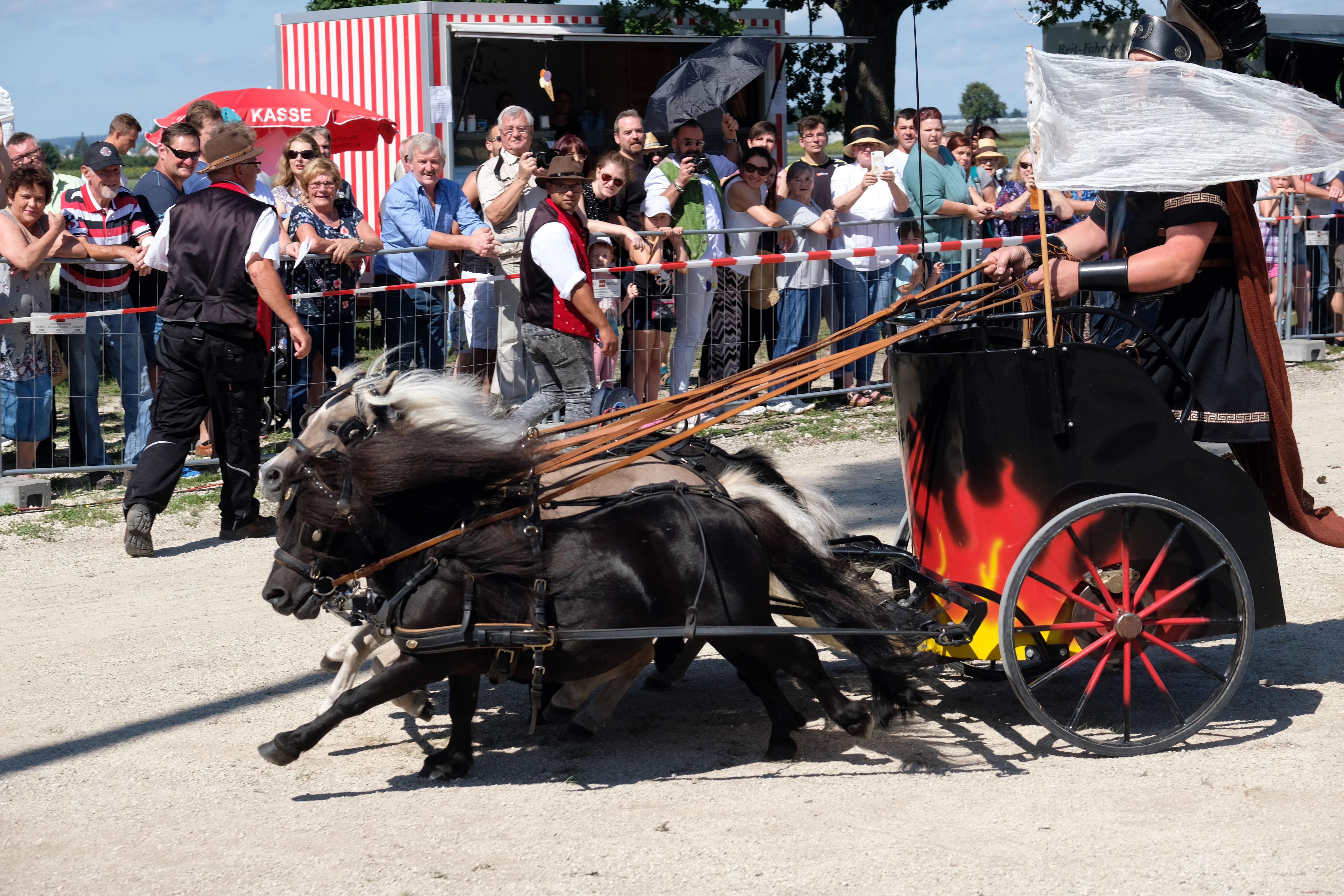 ...dann bewiesen aber auch die Mini-Shettys, dass sie ordentlich Gas geben können.