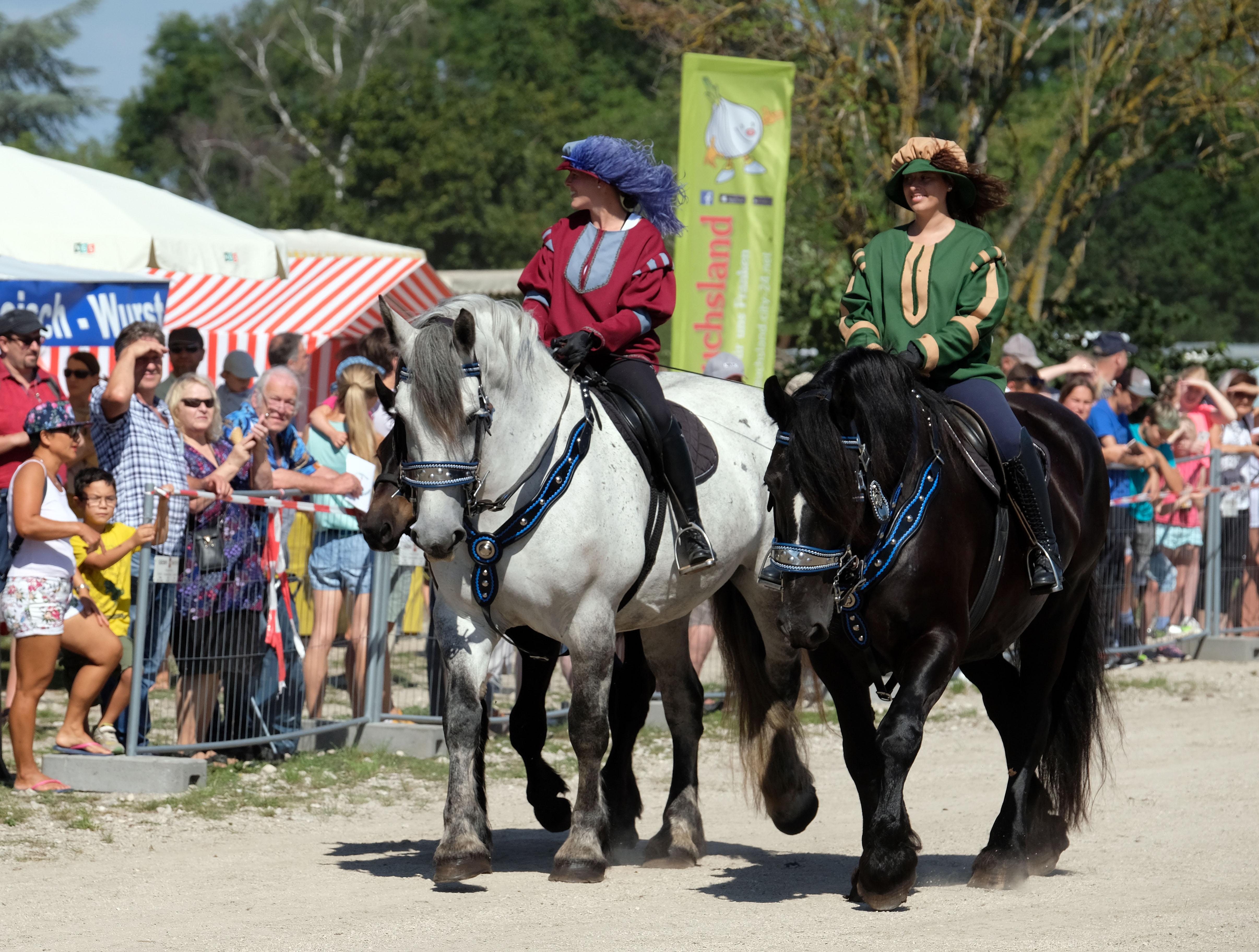 Große Kaltblüter und kleine Ponys, Kutschen und Gespanne aller Art, historische Shows und Reiterquadrillen: Der Bucher Pferdetag lockt jedes Jahr tausende Besucher an. Die berittenen Herolde eröffneten das Fest, dann ging es zur Sache.