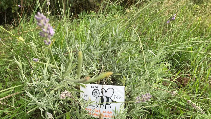 Was mir auf dem Weg heute jetzt schon mehrfach aufgefallen ist: Hier wird einiges für die Artenvielfalt getan. 
 Auf dem Schild steht: „Ich bin für die Bienen. Bitte nicht pflücken.“