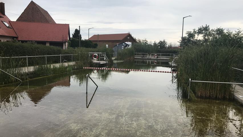 Seit einigen Jahren hat das Naturbad in Keidenzell einen tierischen Mitbewohner: eine Blindschleiche lebt in dem Wasser, erzählt Goos.