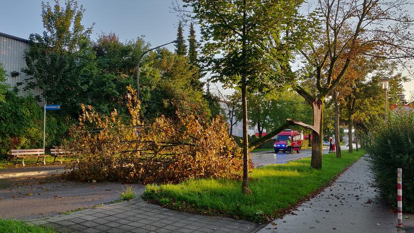 Ein abgeknickter Baum in der Nürnberger Straße in Treuchtlingen hat am Sonntagabend für Verkehrsbehinderungen gesorgt.