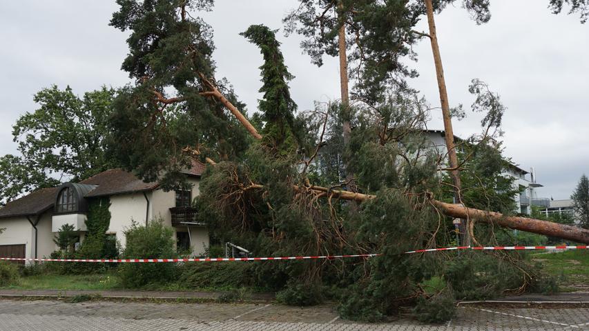 Auf das AWO-Betreuungszentrum in der Rother Friedrich-Ebert-Straße fiel ein Baum.