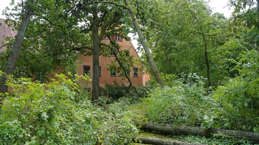 Am Rother Landratsamt fielen mehrere Bäume um und beschädigten ein Nebengebäude.