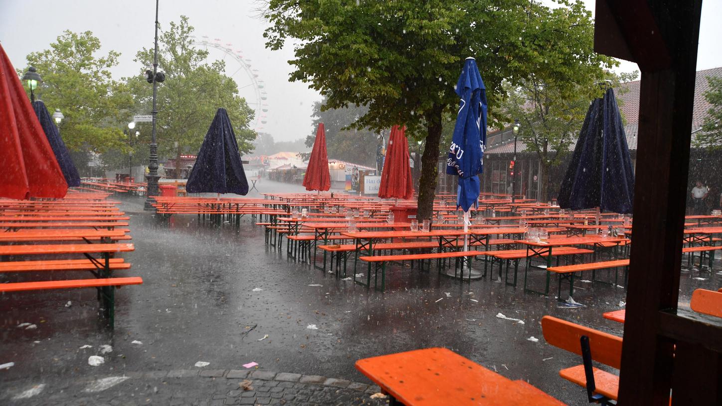 Unwetter nietete Bäume in Pyrbaum und Amberg um