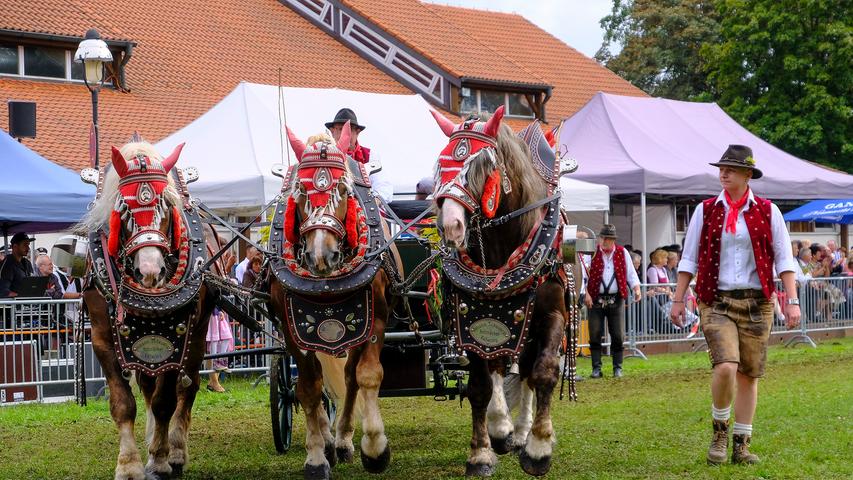 Pferdeschau am Jura-Volksfest 2019 in Neumarkt