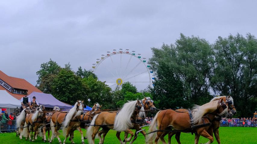 Pferdeschau am Jura-Volksfest 2019 in Neumarkt