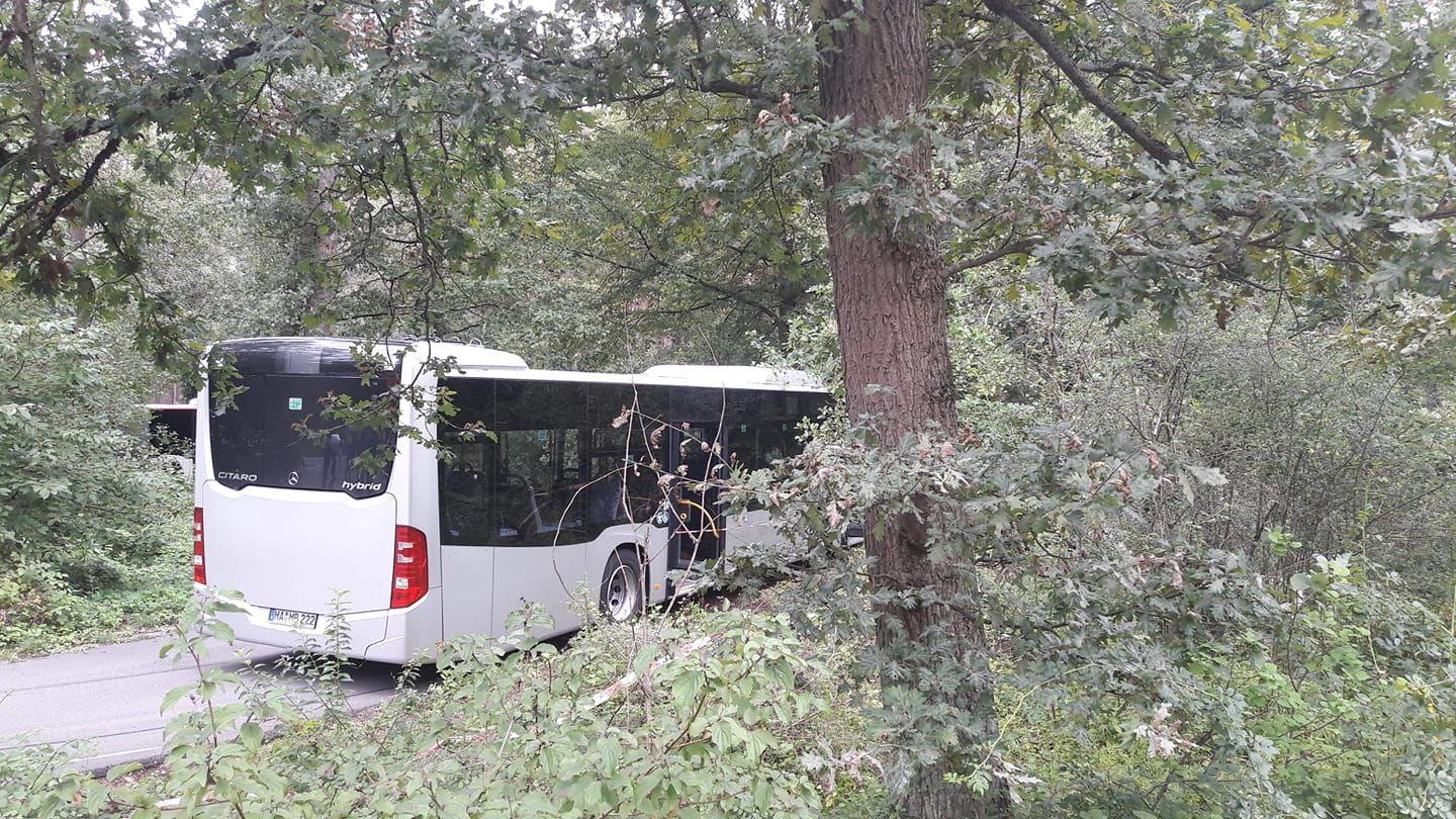 Bus prallt bei Fahrtraining gegen Baum: Drei Schwerverletzte