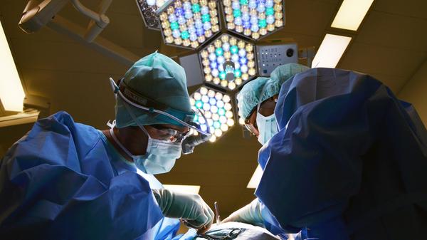Das zweithöchste Ansehen genießen Ärzte und Ärztinnen mit 88 Prozent.