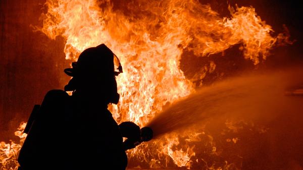 Der Job als Feuerwehrmann/-frau ist mit 94% der angesehenste Beruf Deutschlands. Abschließend fällt auf, dass die Top Ten von Berufsgruppen aus dem öffentlichen Dienst dominiert werden.
