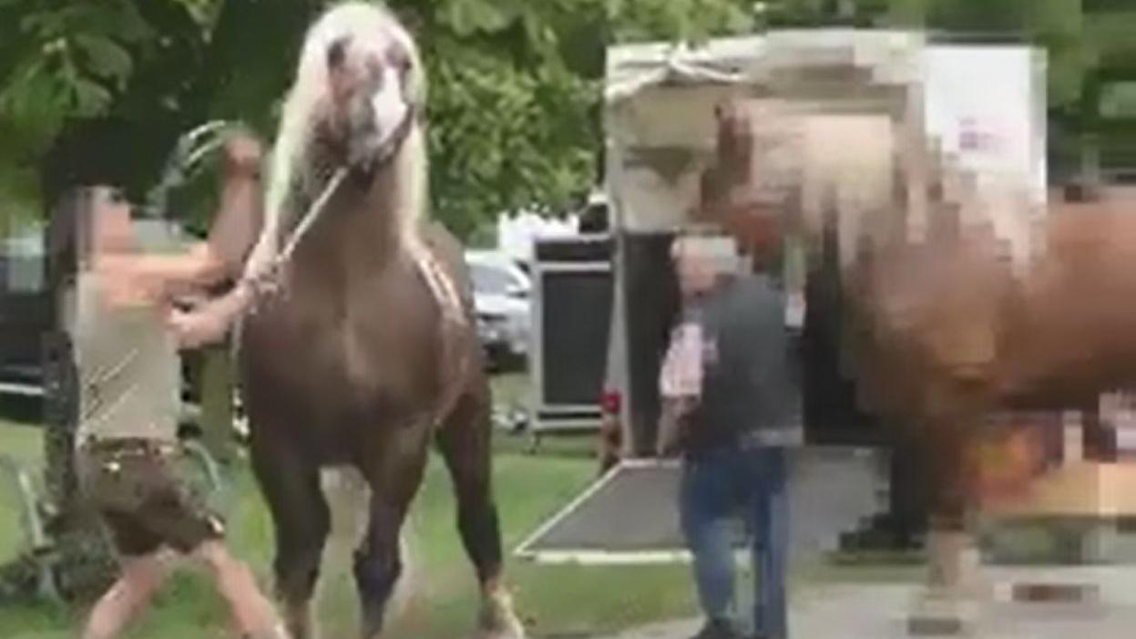 Diese auf einem Video festgehaltene Misshandlung eines Pferdes bei der Juraschau sorgt für Aufregung unter Pferdefreunden.