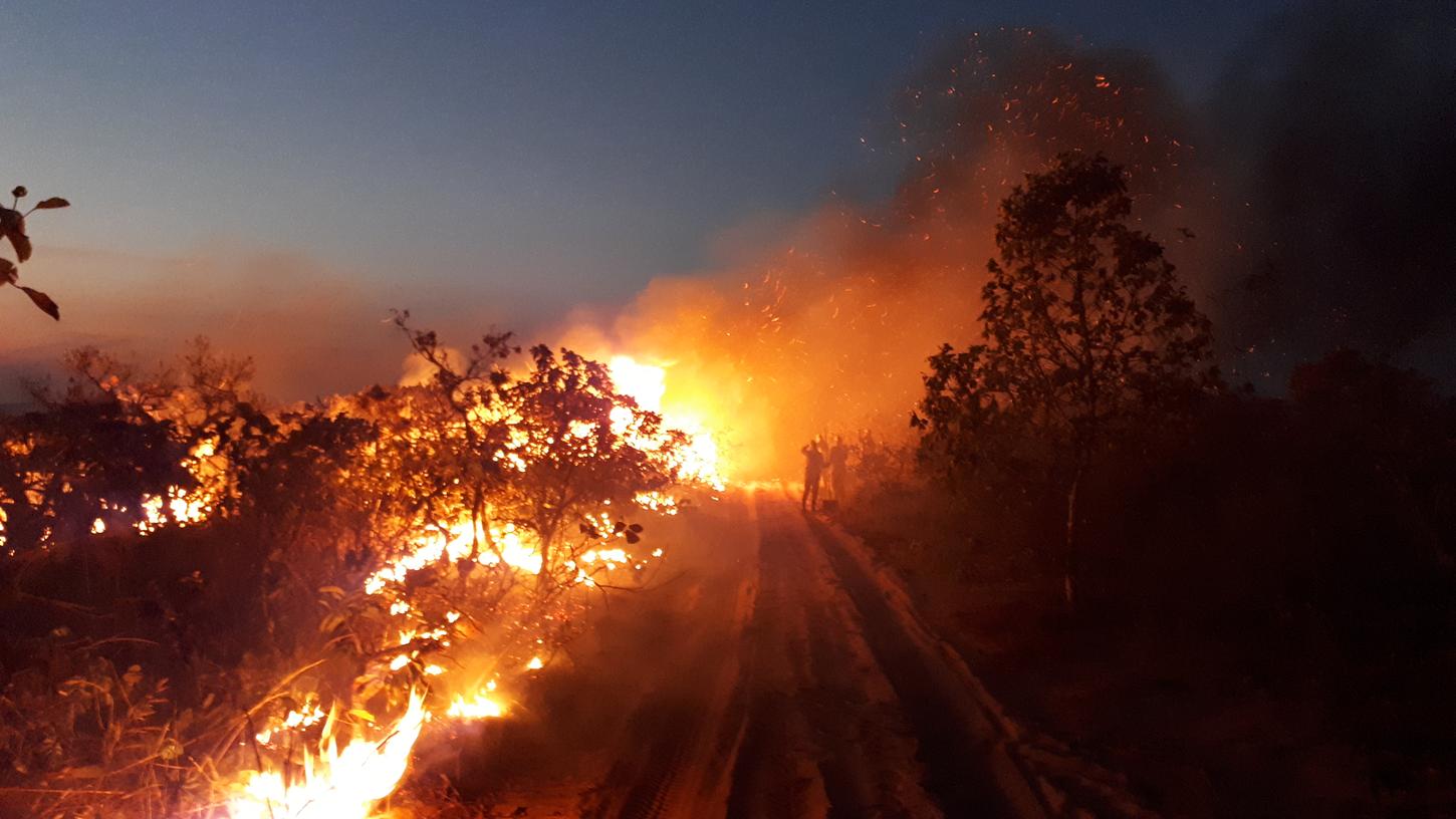 Die heftigen Waldbrände im Amazonas sorgen derzeit weltweit für Betroffenheit.