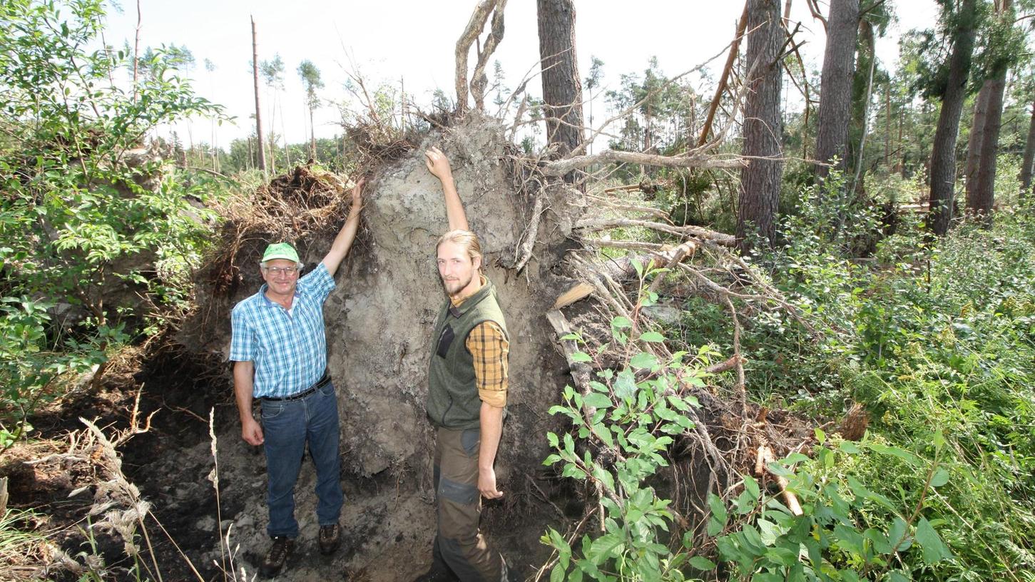 Bäume beträchtlichen Ausmaßes wurden vom Sturm aus dem Boden gerissen. Wie groß sie sind, verdeutlichen FBG-Geschäftsführer Dieter Winkler und Förster Simon Dauer.
