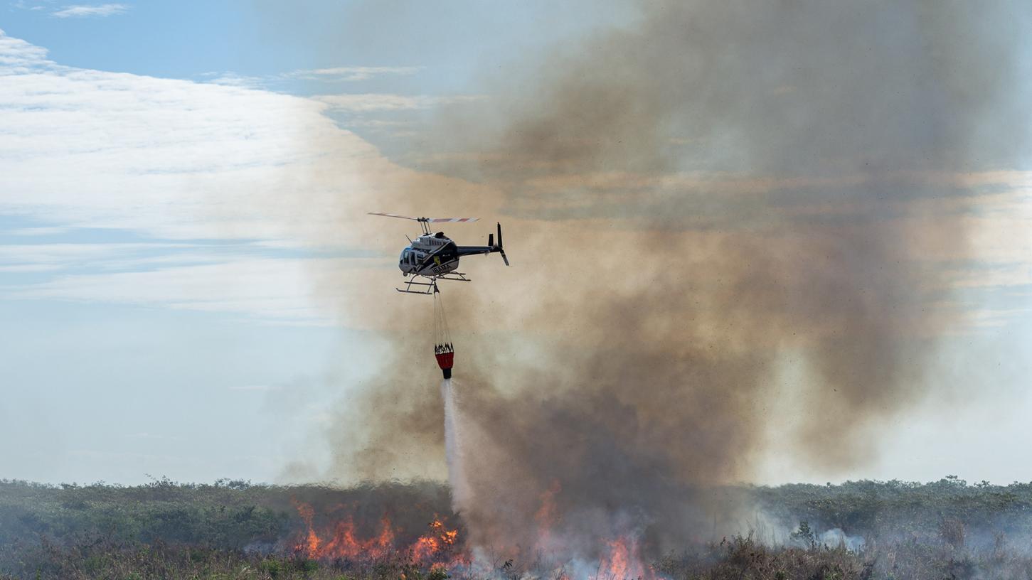 Die grüne Lunge der Erde brennt: Im Amazonas-Regenwald wüten die schlimmsten Brände seit Jahren.