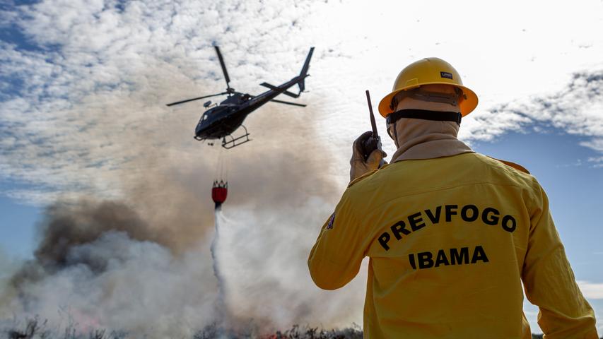 Grüne Lunge in Gefahr: Tausende Waldbrände wüten im Amazonas