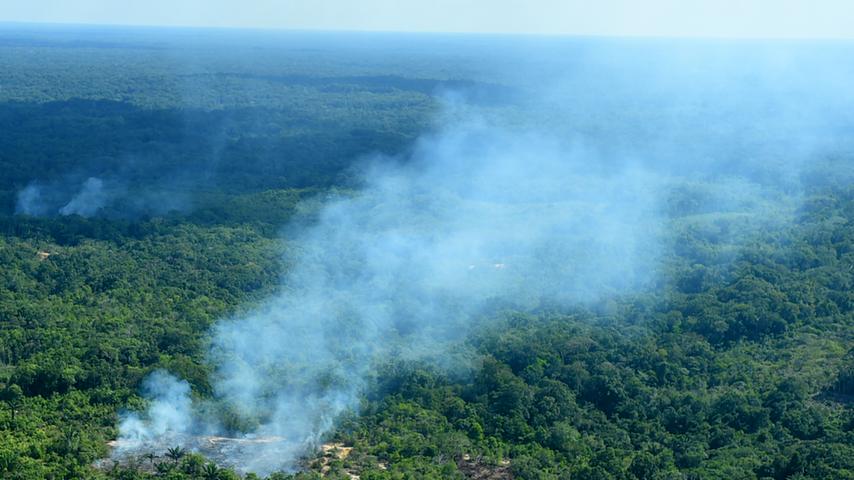 Grüne Lunge in Gefahr: Tausende Waldbrände wüten im Amazonas