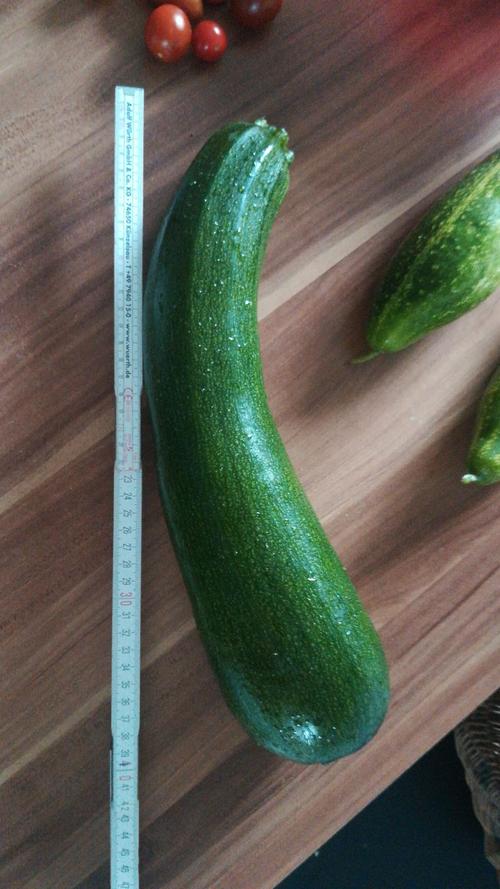 Die Zucchini von Christian Scheibe misst ganze 40 Zentimeter.