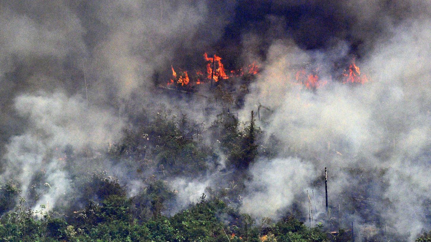 In Brasilien wüten derzeit die schwersten Waldbrände seit Jahren.