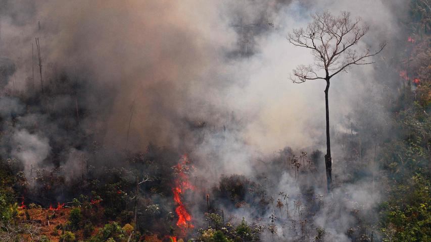 Im Amazonasbecken brennt der Regenwald. Die brasilianische Regierung unter Jair Bolsonaro ist deswegen international unter Druck geraten. Kritiker werfen Bolsonaro vor, mit seinem wirtschaftsfreundlichen Kurs die Katastrophe begünstigt zu haben, denn die meisten Brände sind vermutlich von Menschen gelegt. Bolsonaro verbittet sich zwar jede internationale Einmischung, will jetzt aber stärker gegen die Brände vorgehen.