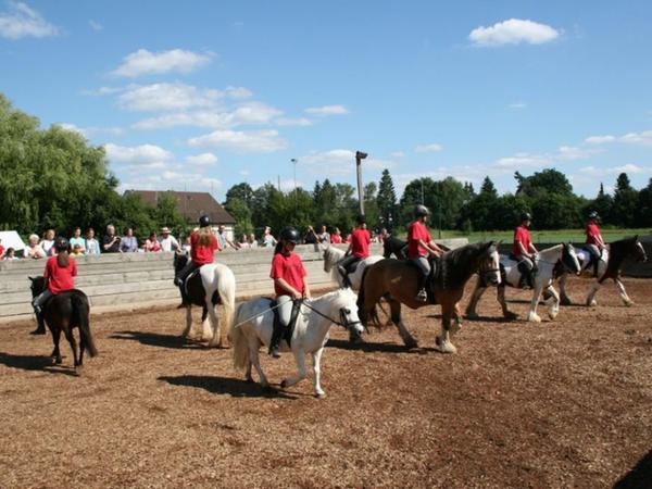 Von März bis Oktober bietet der Reitstall Tinker-Ponyhof in Nürnberg-Ziegelstein Ponyreiten an.