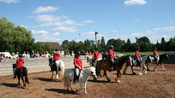 Reiterhof Tinkerfreunde Nürnberg