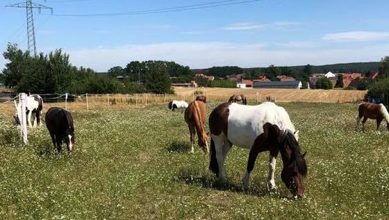 Erlebnishof Lindenhof