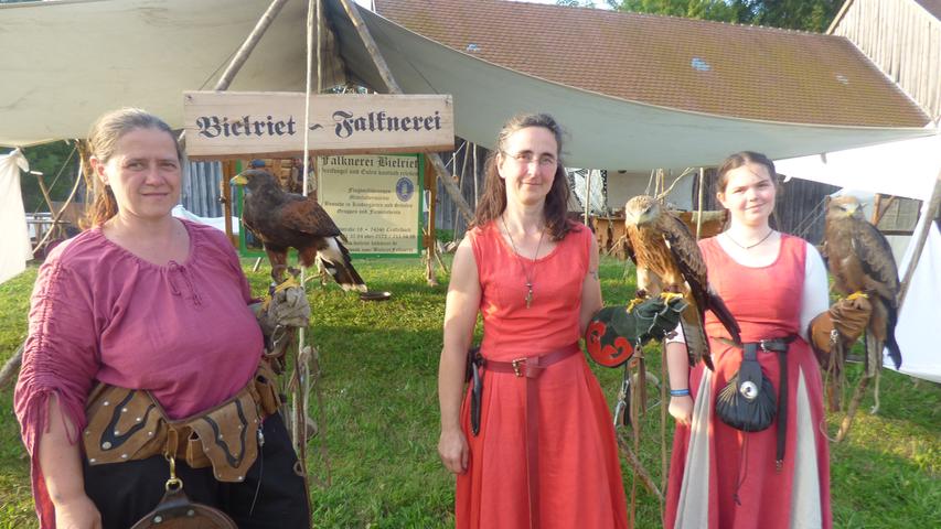 Rüstungen und mehr: Besucheransturm auf Ritterfest in Waischenfeld