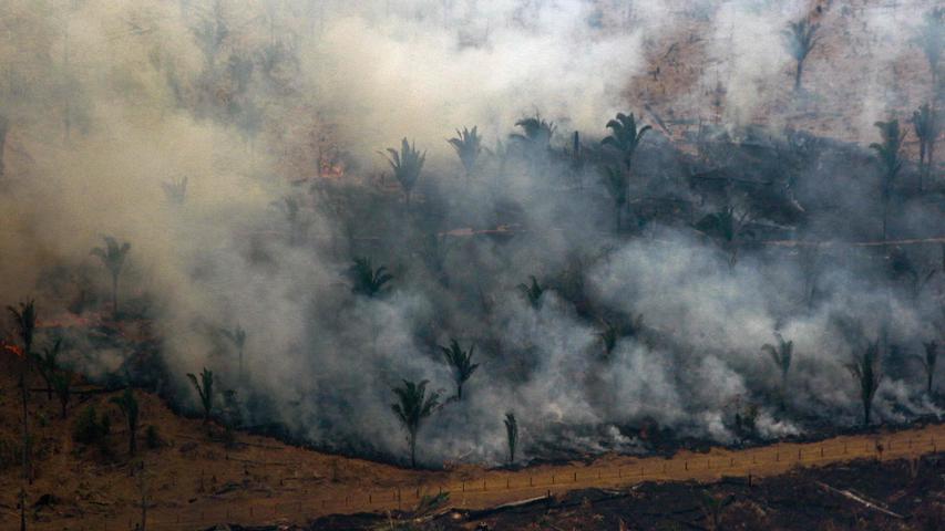 Keine Rettung in Sicht: Wälder im Amazonas brennen weiter aus