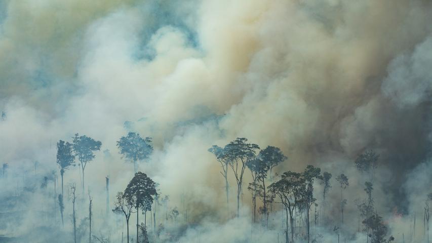 Keine Rettung in Sicht: Wälder im Amazonas brennen weiter aus