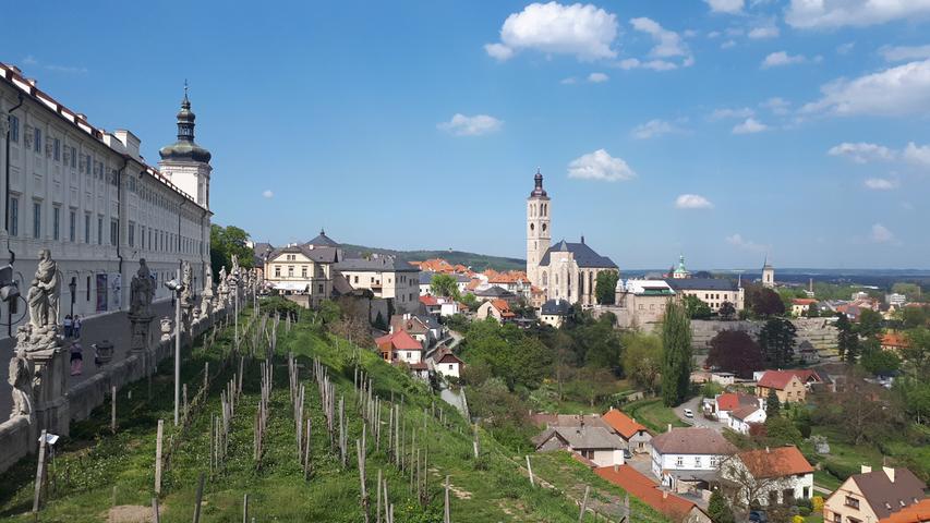 Am Fuß des Jesuitenkollegs und der Barbara-Kathedrale gedeihen Weinreben; angebaut werden Traminer- und Spätburgunder-Trauben. Im Hintergrund die Stadtkirche von Kutná Hora.