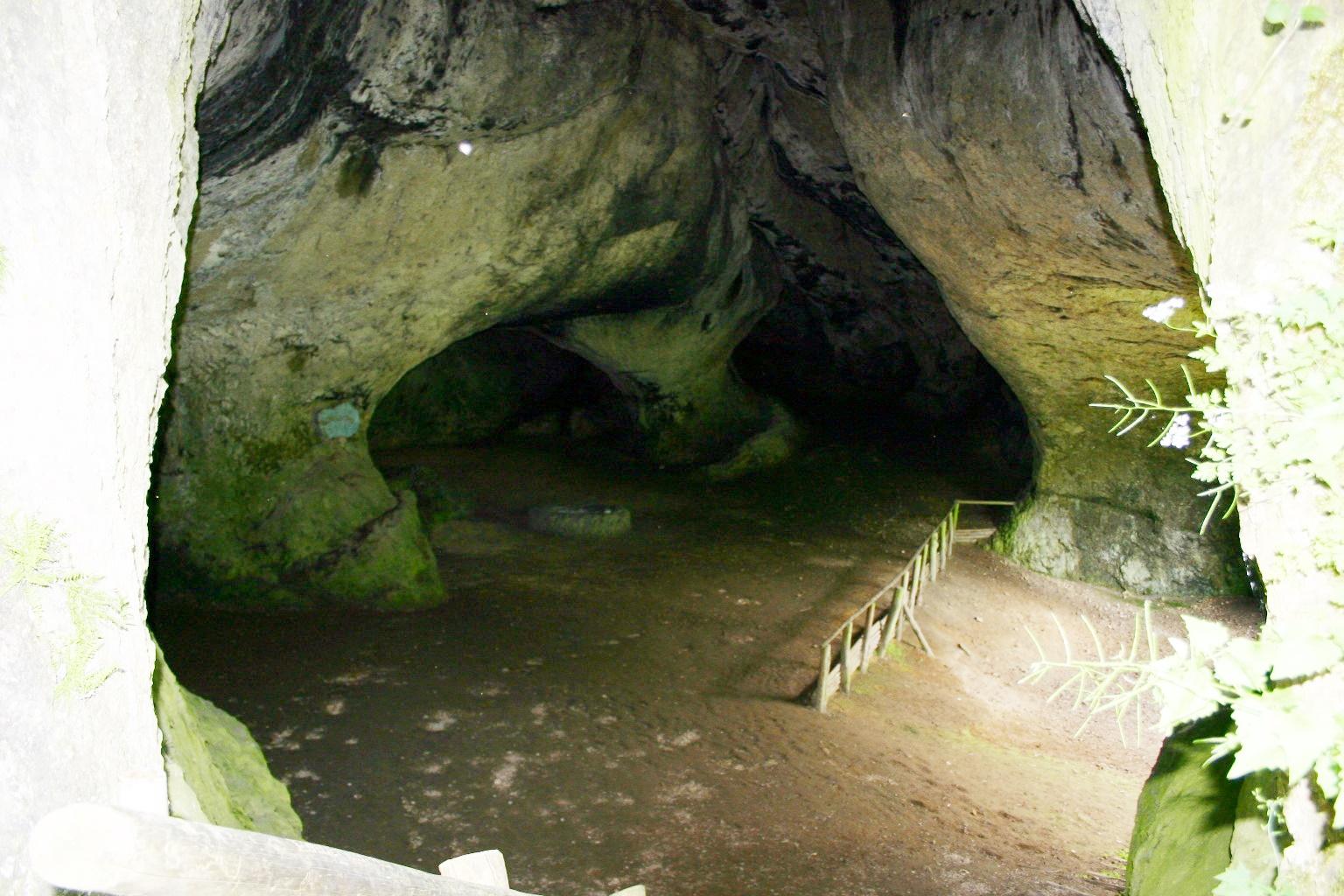 <p>Die Ludwigshöhle, eine natürliche Karsthöhle bei Neumühle (Gemeinde Ahorntal in der Fränkischen Schweiz) wurde nach König Ludwig benannt. Ihm zu Ehren soll dort 1830 ein Festbankett stattgefunden haben. Die Höhle hat zwei Eingänge, durch die ein Wanderweg führt.</p>
