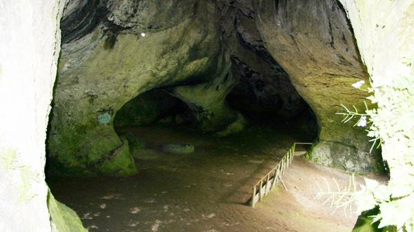 <p>Die Ludwigshöhle, eine natürliche Karsthöhle bei Neumühle (Gemeinde Ahorntal in der Fränkischen Schweiz) wurde nach König Ludwig benannt. Ihm zu Ehren soll dort 1830 ein Festbankett stattgefunden haben. Die Höhle hat zwei Eingänge, durch die ein Wanderweg führt.</p>