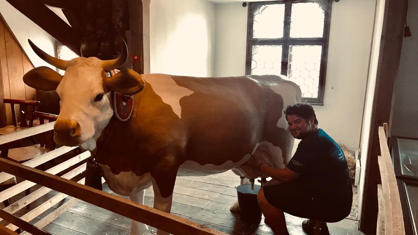 Im Deutschen Hirtenmuseum in Hersbruck gibt die Kuh Wasser - und ich gebe Milch. So nennen Sportler das, wenn sie ziemlich kaputt sind.