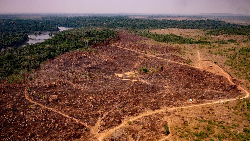 Wo früher das saftige Grün des Regenwaldes dominierte, sind inzwischen riesige braune Flächen zu sehen, auf denen nichts mehr wächst. Diese Luftaufnahme aus dem brasilianischen Bundesstaat Mato Grosso zeigt, was die Waldbrände und die Brandrodungen in dem südamerikanischen Land anrichten. Das gigantische Ökosystem entlang des Amazonas ist schwer geschädigt.