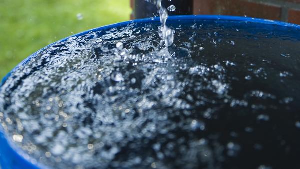 Vor den ersten Frostnächten sollten Hausbesitzer Regentonne, Gießkanne, Gartenschlauch und Wasserhahn entleeren. Denn im Winter können die Gerätschaften platzen und dadurch größeren Schaden verursachen. Leeren Sie daher alle Wassergefäße und räumen Sie sie geschützt in Garage oder Schuppen. Ist bei großen Regentonnen oder Mini-Teichen eine Leerung nicht möglich, stellen Sie einen Holzpfosten ins Wasser. Das Holz federt den Druck durch Eis ab und verhindert, dass die Wände Schaden nehmen. Wichtig ist auch, die Leitung vom Wasserhahn an der Hausfassade zu entleeren und abzudrehen. Sonst können die Wasserhähne und Leitungen einfrieren. Das Ventil des Hahns sollte offen bleiben, damit sich in der Leitung kein Wasser sammeln kann. Umwickeln Sie anschließend Anschlüsse und Leitungen im Freien mit Vlies oder Jute.