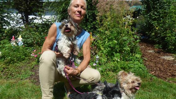 tierhilfe franken sucht herrchen oder frauchen betzenstein nordbayern de