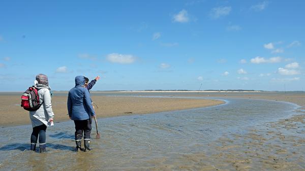 Das Nordsee-Wattenmeer: Auch die steife Brise an diesem Tag kann uns nicht davon abhalten, mit Wattführer Rainhard Boyens durch den Schlick zu stapfen. Ein kleines Abenteuer.