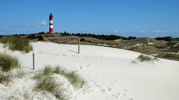 Zu den Wahrzeichen von Amrum gehört der Leuchtturm. Ein Besuch ist Pflicht ...