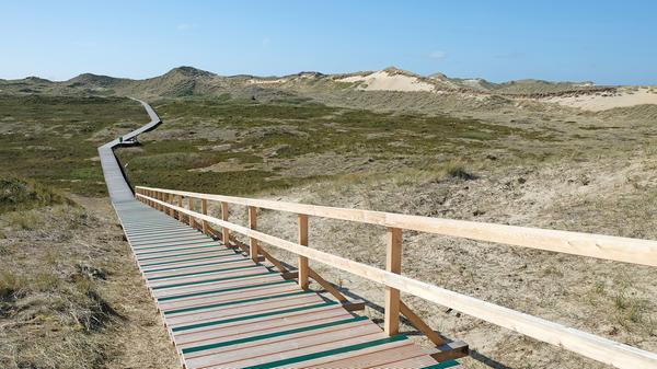 Um die wertvollen Dünen zu schütten – Dünenschutz ist Küstenschutz – in denen zahleiche Vogelarten brüten, muss man die Bohlenwege benutzen, die sich kreuz und quer durch die Dünenlandschaf ziehen.