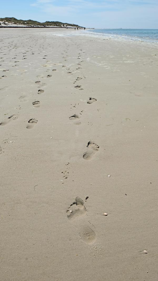 Dieser Strandabschnitt ist nass und daher etwas dunkler. Laufen, die salzige Luft atmen, dem Geschrei der Möwen zuhören – mehr Erholung geht nicht.