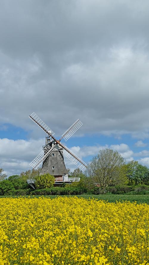 Die Wrixumer Mühle, auch Osterwindmühle genannt, ist ein Erdholländer. Das heißt: Auch sie wurde aus Holland importiert und steht direkt auf der Erde.