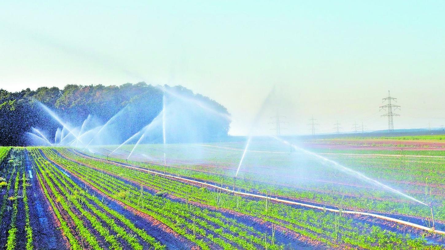 Der Klimawandel sorgt auch in Deutschland bereits für wachsende Verteilungskämpfe ums Wasser. So machen die Bürger in Steudach bei Erlangen die Bewässerung der Gemüsefelder für das Versiegen ihrer privaten Brunnen mitverantwortlich.