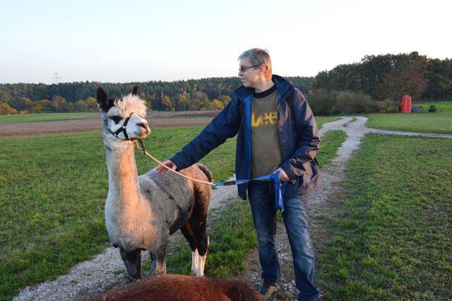 Wandern mit Lamas Alpakas in Franken Hier gibt es Touren