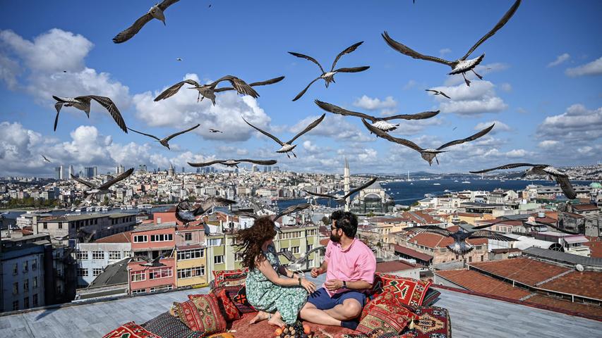 Faszinierend: Ein Pärchen genießt den Ausblick vom Dach eines Cafés in Istanbul - und wird plötzlich von Seemöwen umschwärmt.