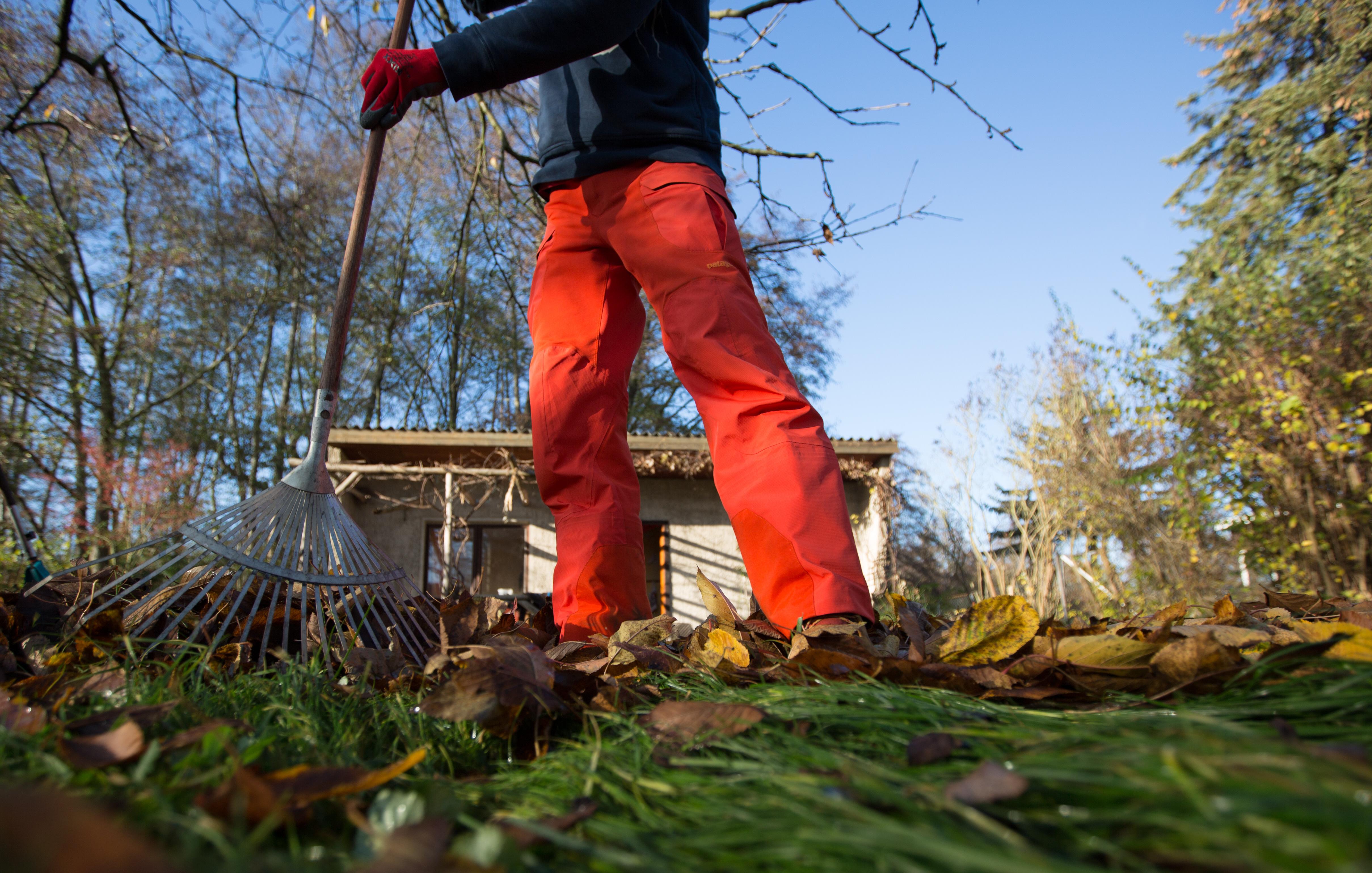 Herbstputz und Kompost Darauf sollten Gärtner im Herbst achten