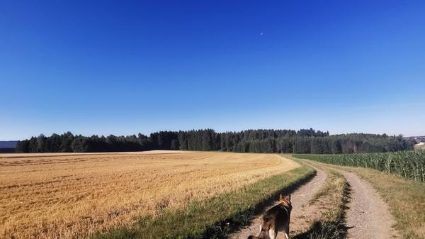 Arne und sein Vierbeiner empfehlen eine Runde über die Feldwege um Weissdorf.