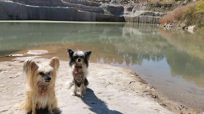 Im Steinbruch bei Worzeldorf kann Gabi mit ihren Hunden immer die schöne Umgebung genießen. Warum den nächsten Sonntagsspaziergang also nicht dort machen?