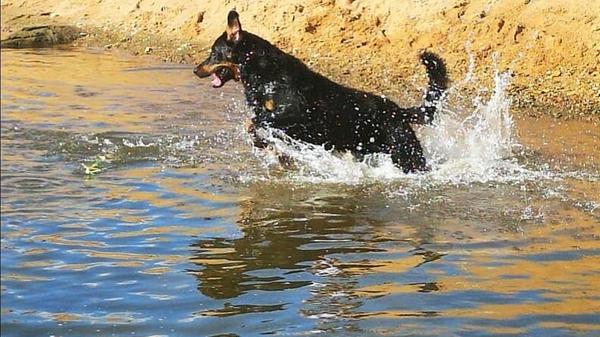Laura und ihre Wasserratte empfehlen einen Ausflug zur Regnitz in Pettstadt. Bei diesem Bild ist es definitiv eine Überlegung wert, seinen nächsten Ausflug dorthin zu machen.